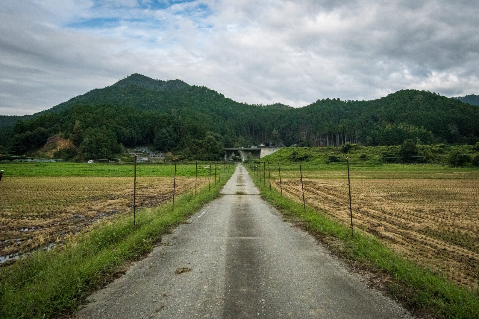 A landscape take from the perspective of a long, straight farm road leading out to a mountain and a highway bridge, with harvested rice fields and an electric fence on both sides of the road.