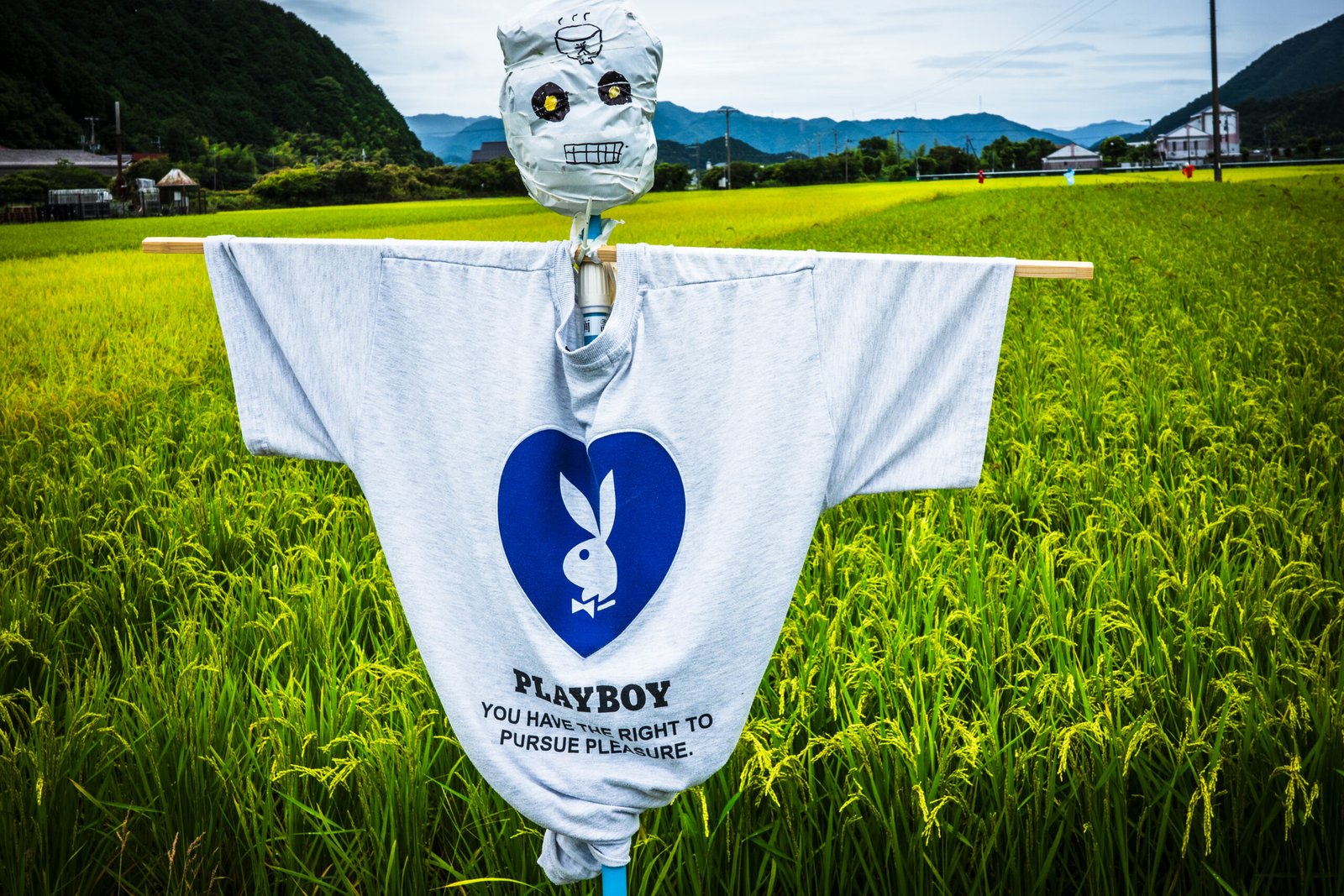 A scarecrow in a rice field outfitted with a T-shirt with the Playboy logo and the phrase, "You have the right to pursue pleasure."